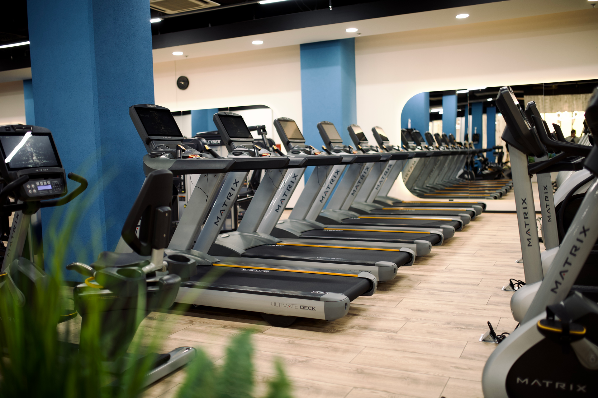 Multihealth gym